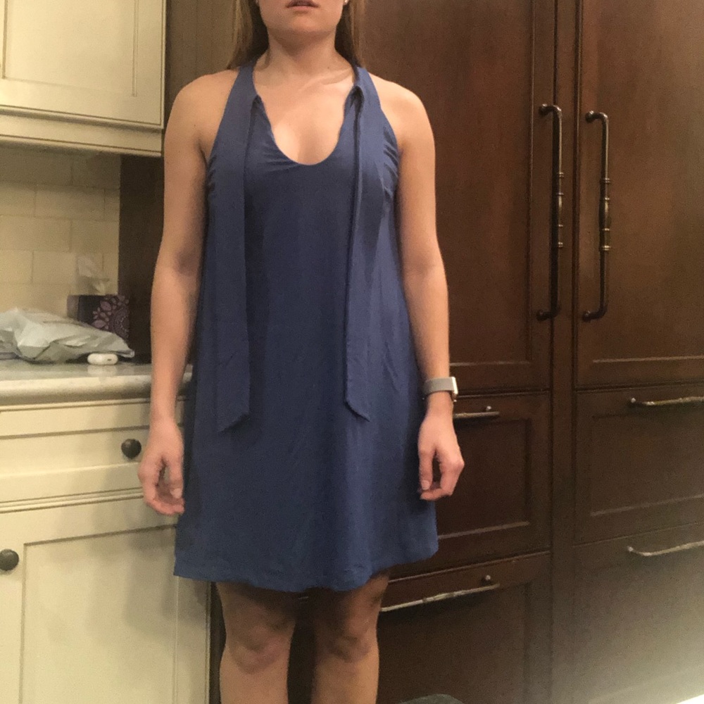 Susana Monaco dress